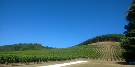 img_20160825_115224_edit_1